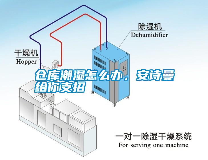 倉(cāng)庫(kù)潮濕怎么辦，安詩(shī)曼給你支招