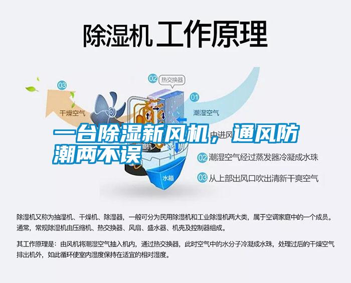 一臺除濕新風(fēng)機，通風(fēng)防潮兩不誤