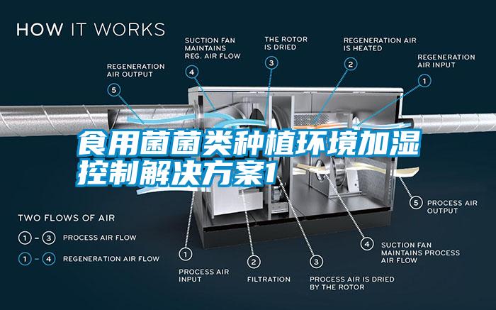 食用菌菌類種植環(huán)境加濕控制解決方案1