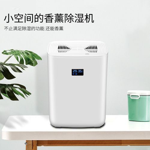 清明過后，潮氣噠噠，怎么除潮？