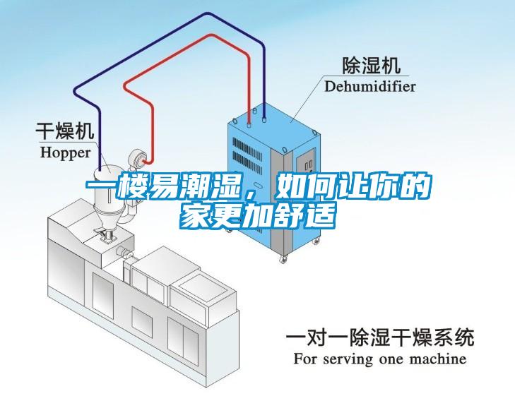 一樓易潮濕，如何讓你的家更加舒適