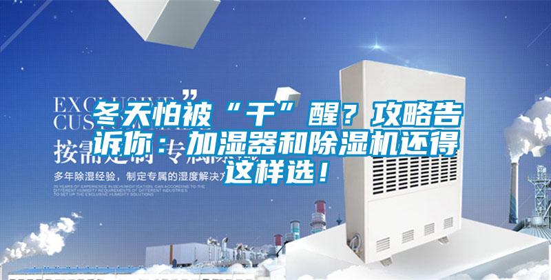 冬天怕被“干”醒？攻略告訴你：加濕器和除濕機還得這樣選！