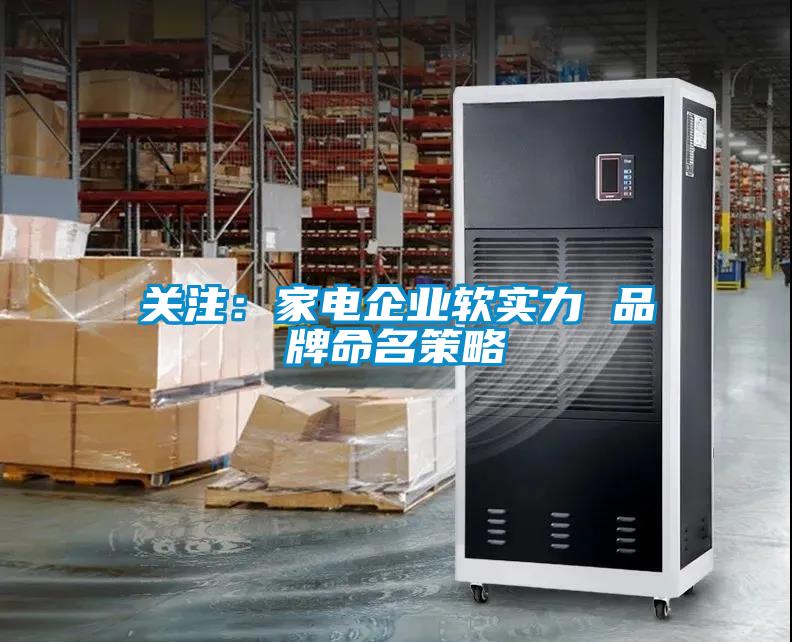 關注：家電企業(yè)軟實力 品牌命名策略