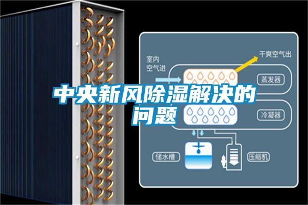 中央新風(fēng)除濕解決的問題