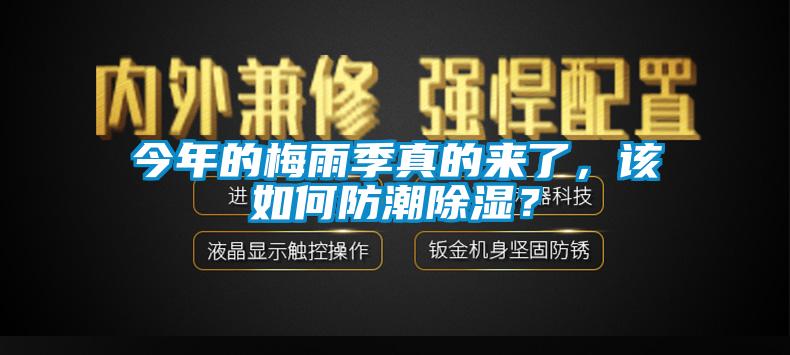 今年的梅雨季真的來了，該如何防潮除濕？