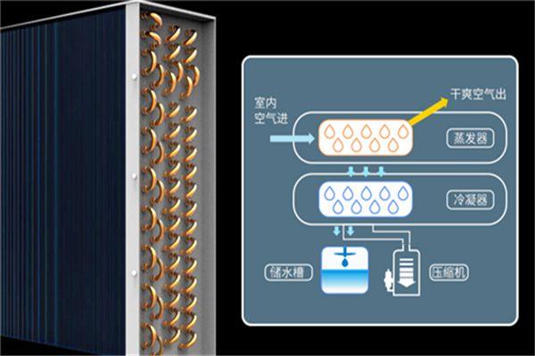 為您詳細(xì)介紹除濕器的分類