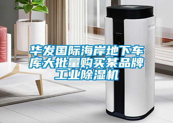 華發(fā)國際海岸地下車庫大批量購買某品牌工業(yè)除濕機