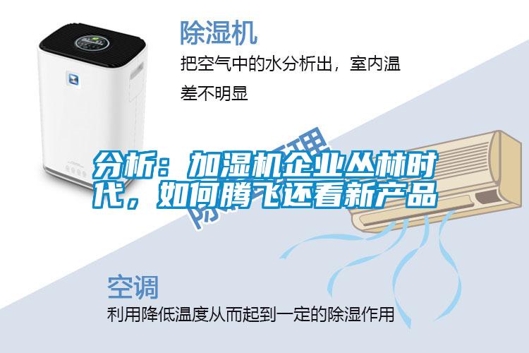 分析：加濕機企業(yè)叢林時代，如何騰飛還看新產品