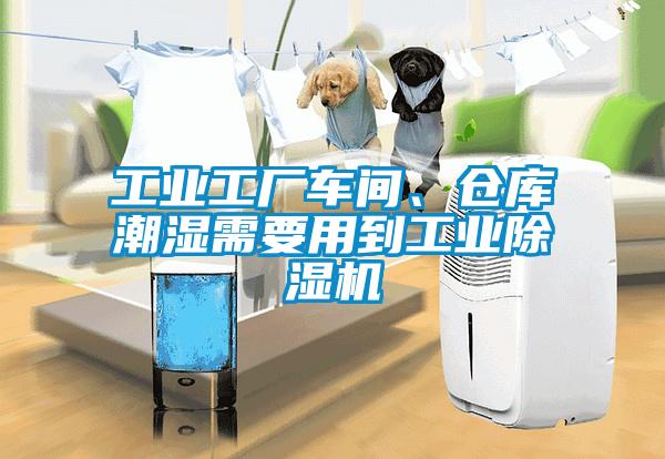 工業(yè)工廠車間、倉庫潮濕需要用到工業(yè)除濕機