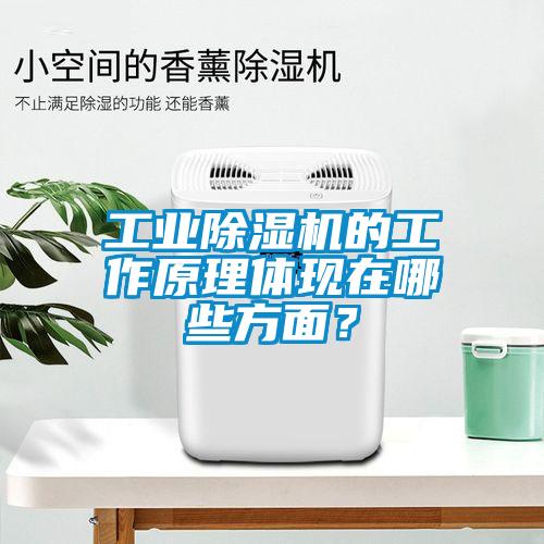 工業(yè)除濕機(jī)的工作原理體現(xiàn)在哪些方面？