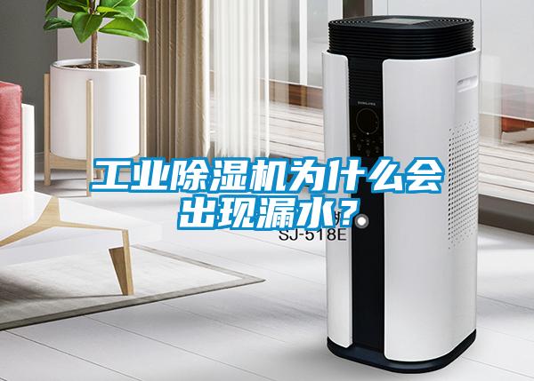 工業(yè)除濕機為什么會出現(xiàn)漏水？