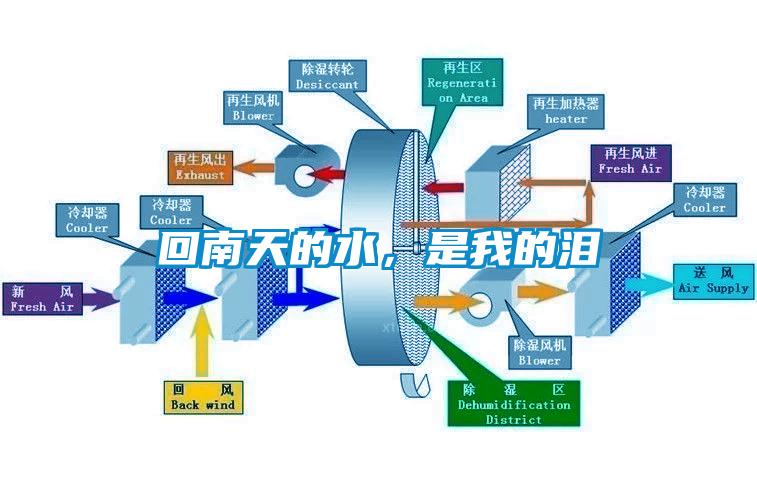 回南天的水，是我的淚