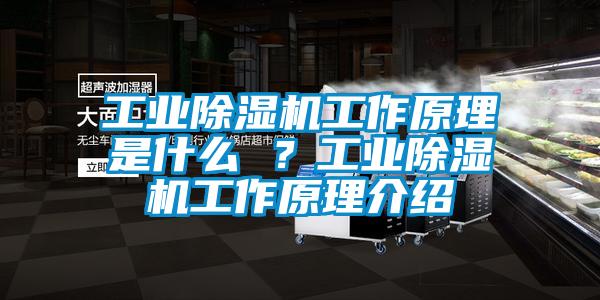 工業(yè)除濕機工作原理是什么 ？工業(yè)除濕機工作原理介紹