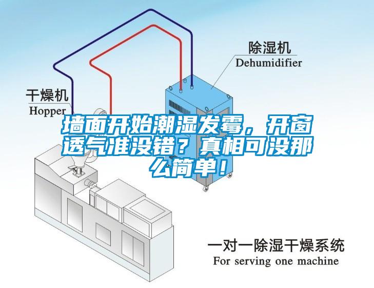 墻面開始潮濕發(fā)霉，開窗透氣準沒錯？真相可沒那么簡單！