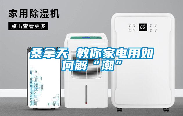 桑拿天 教你家電用如何解“潮”