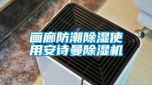 畫廊防潮除濕使用安詩曼除濕機