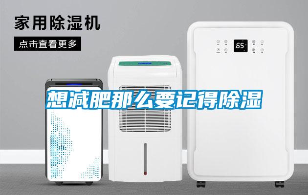 想減肥那么要記得除濕