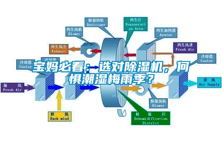 寶媽必看：選對除濕機(jī)，何懼潮濕梅雨季？