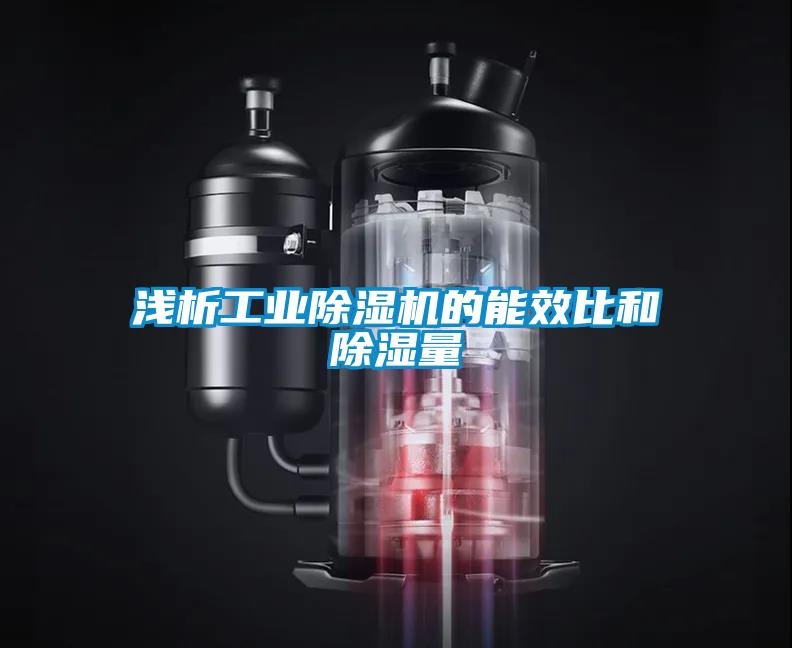 淺析工業(yè)除濕機的能效比和除濕量