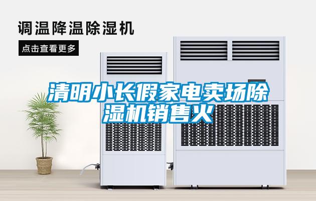 清明小長假家電賣場(chǎng)除濕機(jī)銷售火