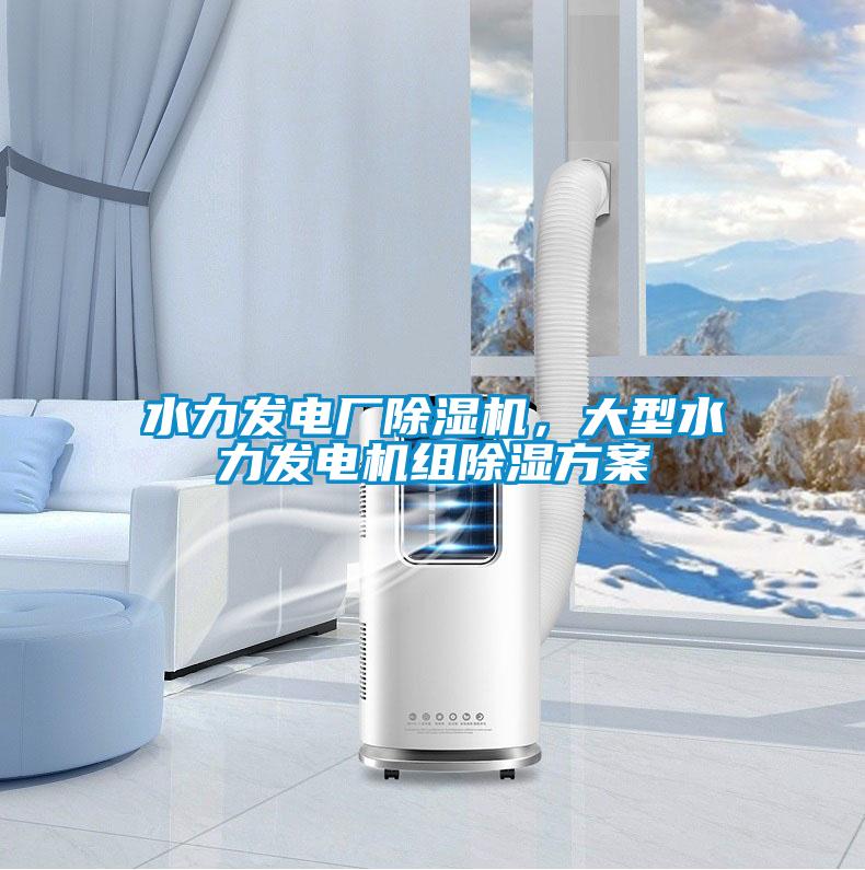 水力發(fā)電廠除濕機，大型水力發(fā)電機組除濕方案