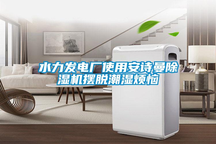 水力發(fā)電廠使用安詩曼除濕機(jī)擺脫潮濕煩惱