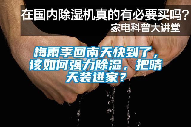 梅雨季回南天快到了，該如何強力除濕，把晴天裝進家？