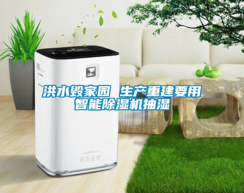 洪水毀家園 生產(chǎn)重建要用智能除濕機抽濕