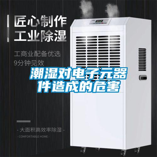 潮濕對(duì)電子元器件造成的危害