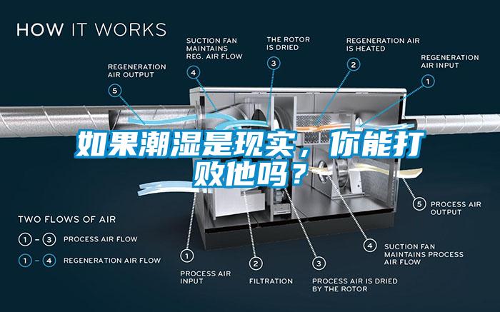 如果潮濕是現(xiàn)實(shí)，你能打敗他嗎？