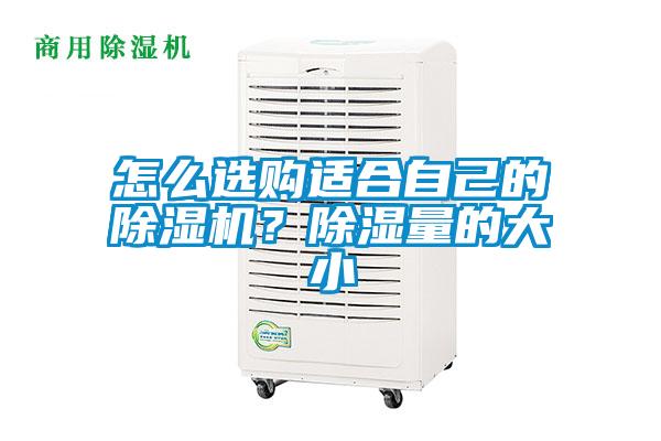 怎么選購適合自己的除濕機？除濕量的大小