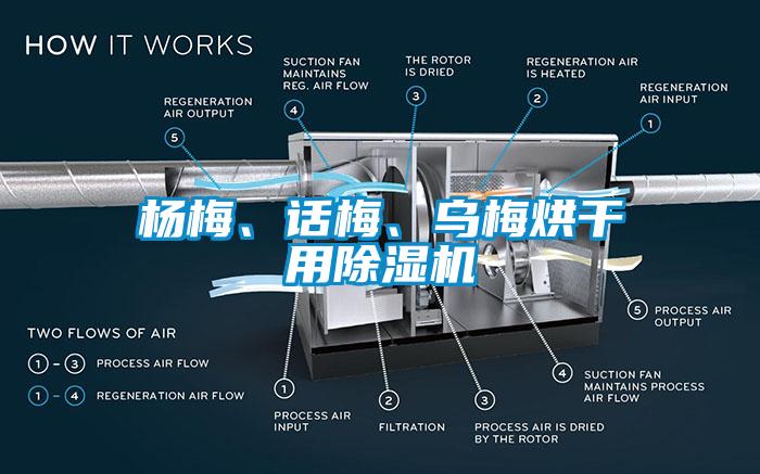 楊梅、話梅、烏梅烘干用除濕機(jī)