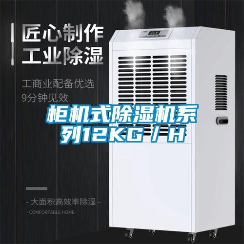 柜機(jī)式除濕機(jī)系列12KG／H