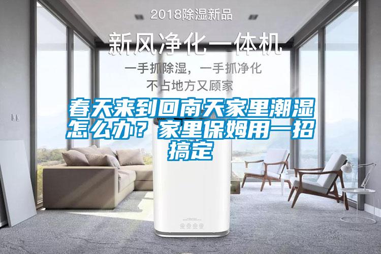 春天來(lái)到回南天家里潮濕怎么辦？家里保姆用一招搞定