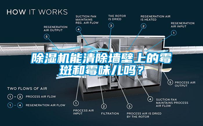 除濕機(jī)能清除墻壁上的霉斑和霉味兒嗎？