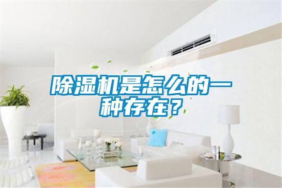 除濕機是怎么的一種存在？