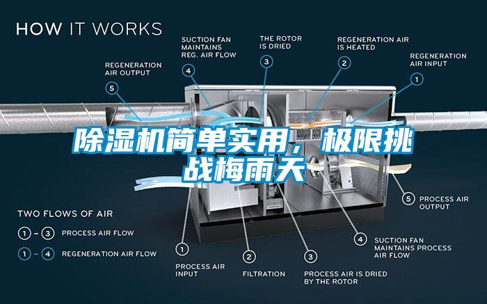 除濕機簡單實用，極限挑戰(zhàn)梅雨天