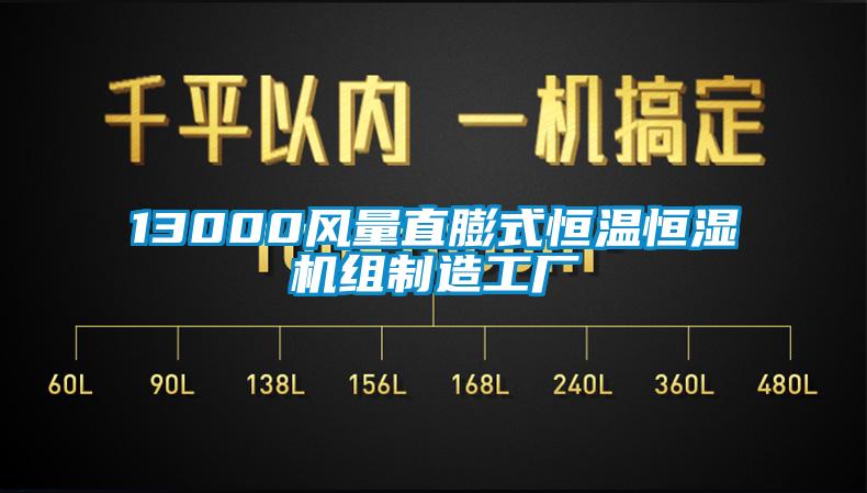 13000風(fēng)量直膨式恒溫恒濕機(jī)組制造工廠