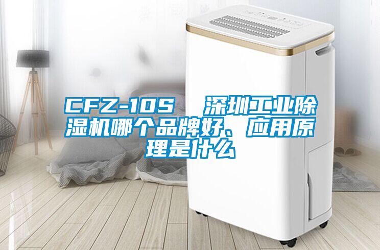 CFZ-10S  深圳工業(yè)除濕機(jī)哪個(gè)品牌好、應(yīng)用原理是什么