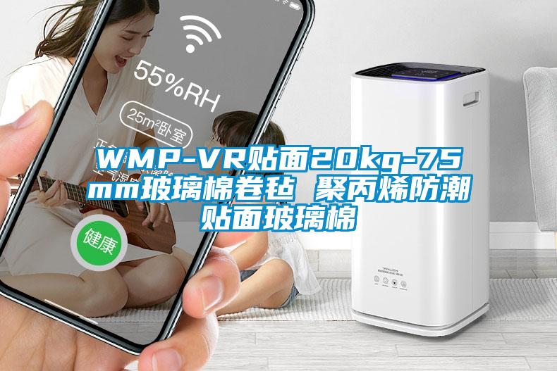 WMP-VR貼面20kg-75mm玻璃棉卷氈 聚丙烯防潮貼面玻璃棉