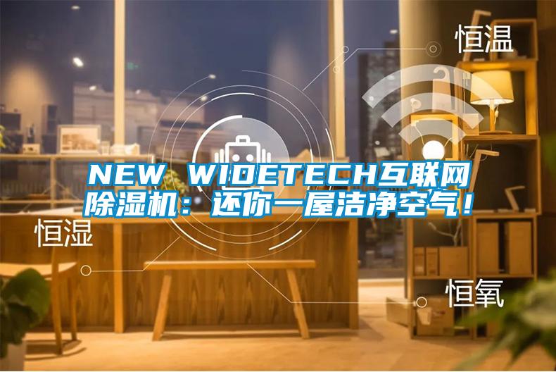 NEW WIDETECH互聯(lián)網(wǎng)除濕機(jī)：還你一屋潔凈空氣！