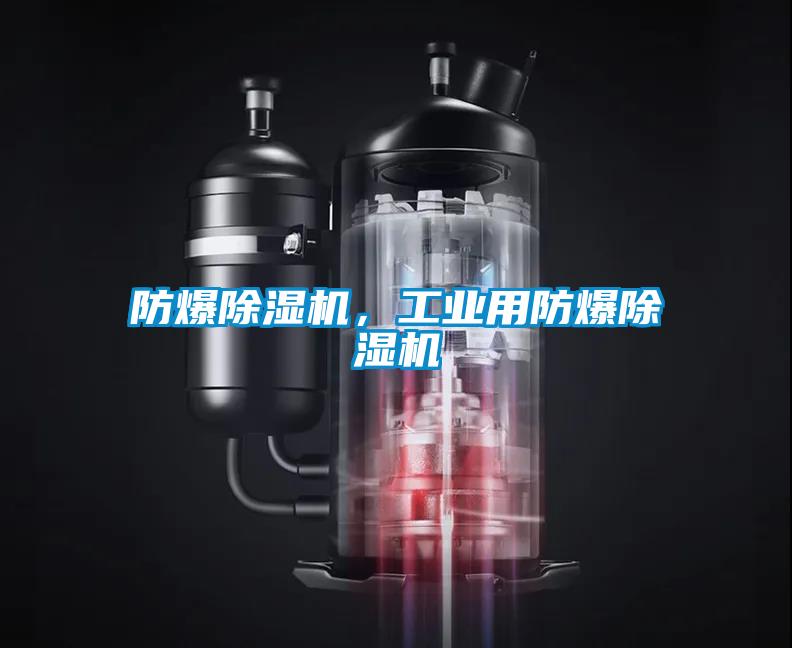 防爆除濕機，工業(yè)用防爆除濕機