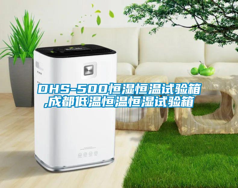 DHS-500恒濕恒溫試驗(yàn)箱,成都低溫恒溫恒濕試驗(yàn)箱