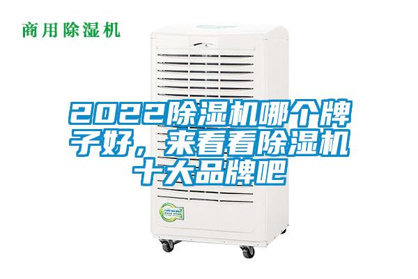 2022除濕機哪個牌子好，來看看除濕機十大品牌吧