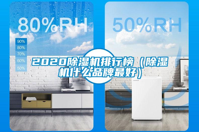 2020除濕機(jī)排行榜（除濕機(jī)什么品牌最好）