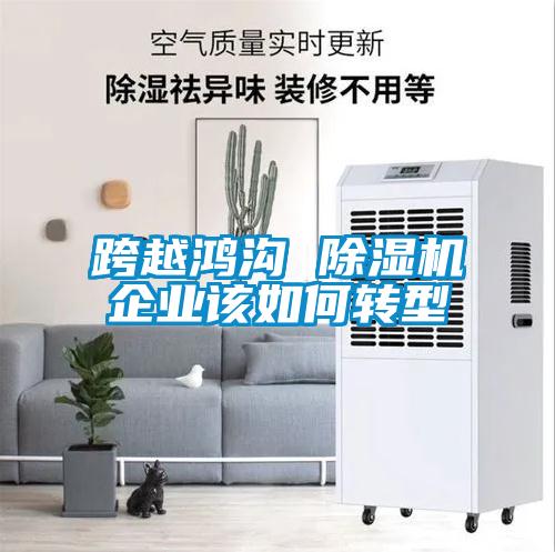 跨越鴻溝 除濕機企業(yè)該如何轉(zhuǎn)型