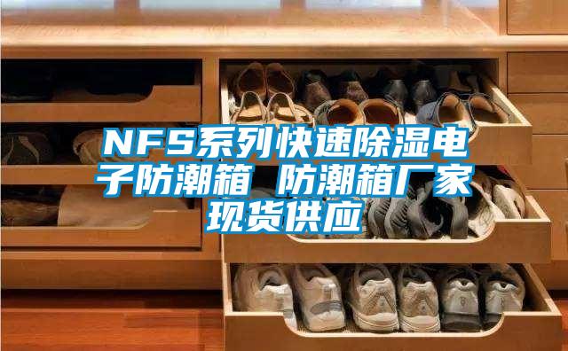 NFS系列快速除濕電子防潮箱 防潮箱廠家現(xiàn)貨供應(yīng)