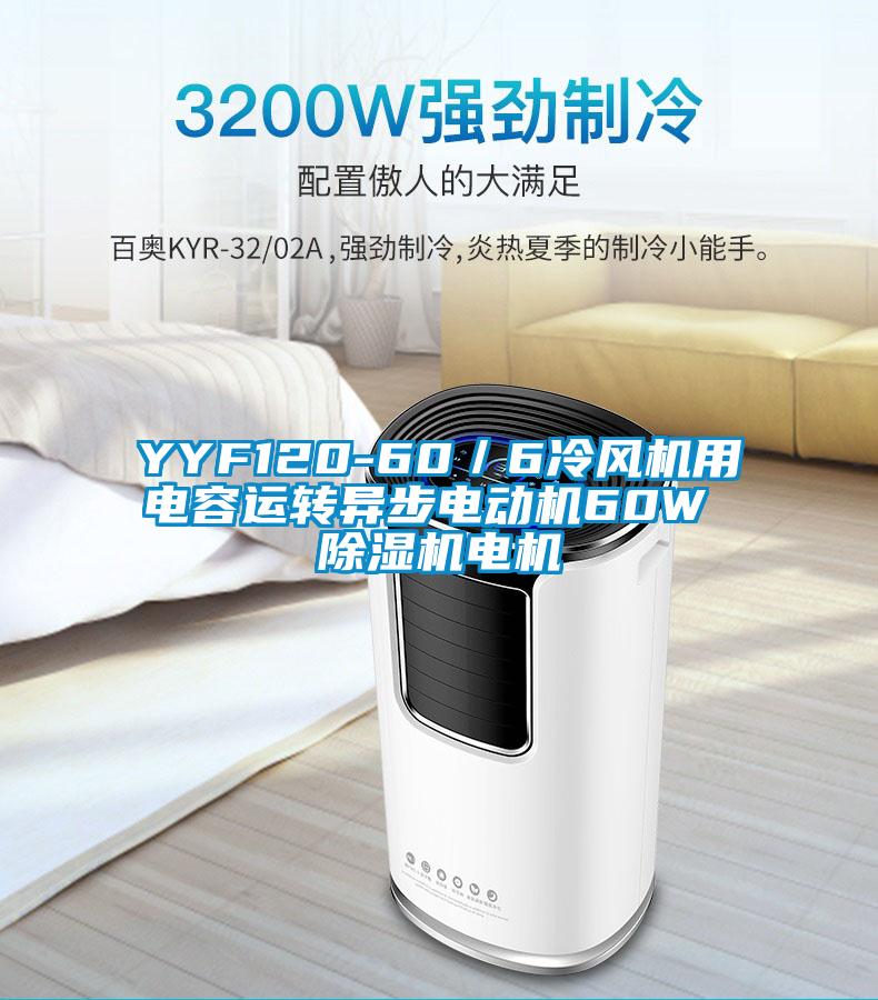 YYF120-60／6冷風(fēng)機用電容運轉(zhuǎn)異步電動機60W 除濕機電機