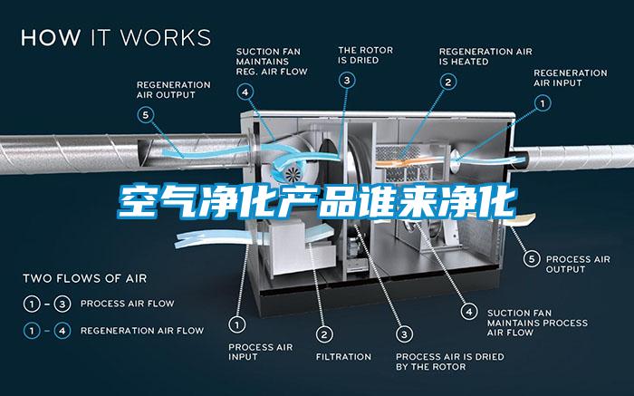 空氣凈化產(chǎn)品誰來凈化