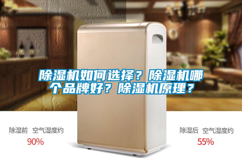 除濕機如何選擇？除濕機哪個品牌好？除濕機原理？